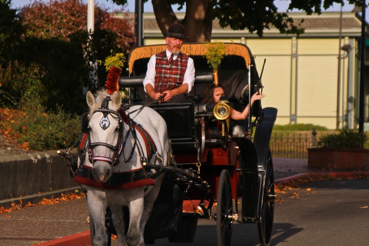 Horse carriage tour through Old Town Eureka with Old Town Carriage Co. driver